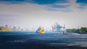 Blick über die Elbe.